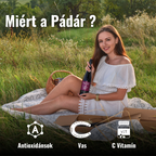 Wybór win porzeczkowych 