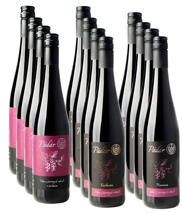 Pakiet MAX + 12 torebek prezentowych