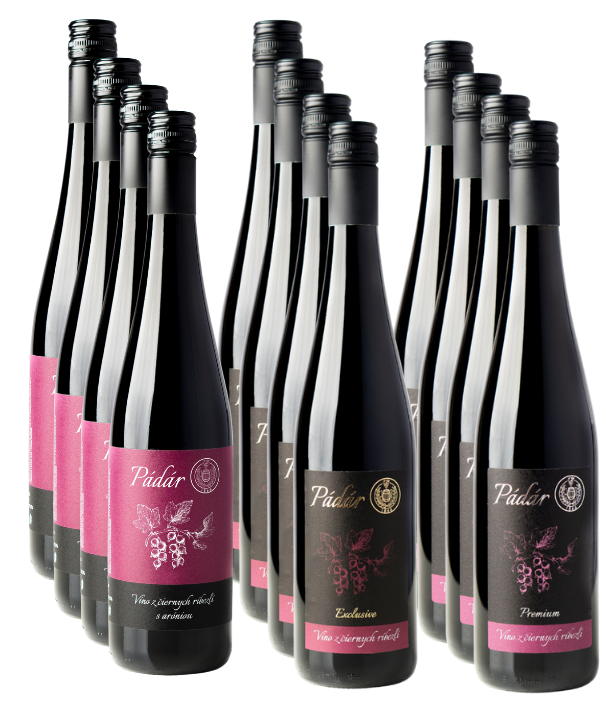 Wybór win porzeczkowych 